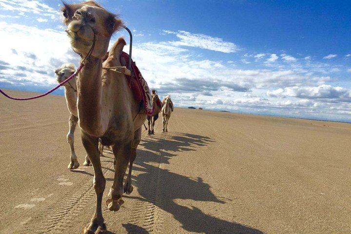 4-tägige private Tour durch Dunhuang mit Unterkunft