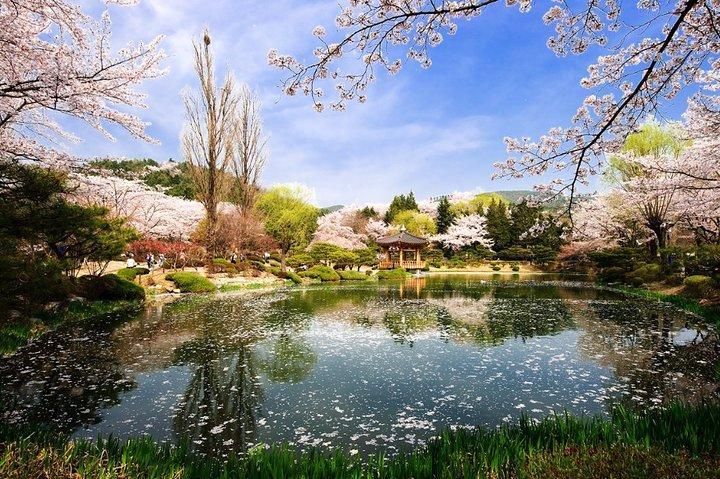 Gyeongju Hidden Gems Private Tour With Local Guide