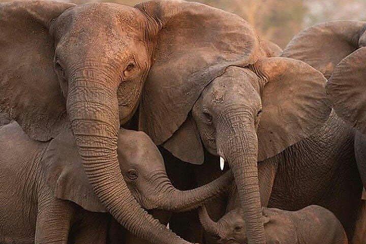 Safari de 2 días para grupos pequeños en Tanzania desde Arusha