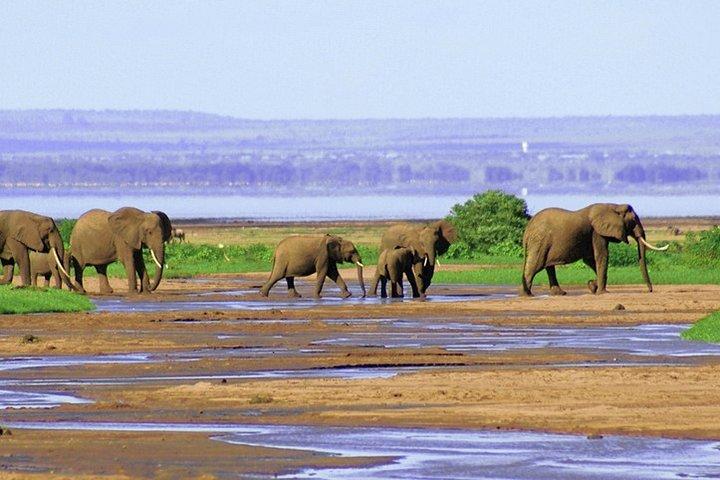 Safari de 2 días para grupos pequeños en Tanzania desde Arusha