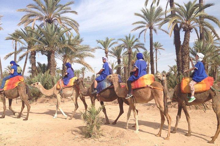 Privat Palm Grove Camel Ride med en tepaus.