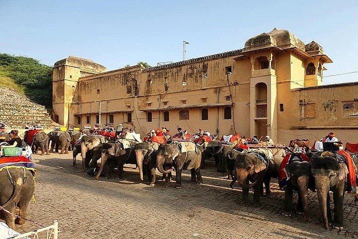 Tour privato del Rajasthan Heritage di 13 giorni con Taj Mahal e Delhi