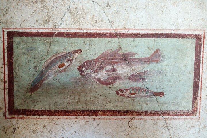 ソレントとローマの往復送迎オプションのポンペイ停留所