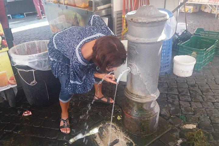 3時間のローマツアーでチヴィタヴェッキア港をフィウミチーノFCO空港に転送