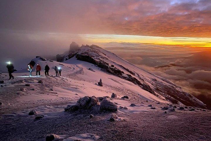 Berg Kilimanjaro Klimmen 7 Dagen Rongai-route