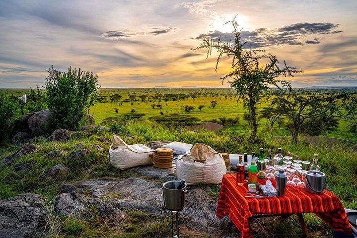4 Days Luxury Lodge Safari til Tarangire, Serengeti & Ngorongoro Crater.