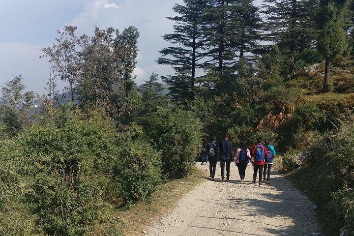 Promenade nature de Mussoorie (visite guidée à pied de 2 heures)