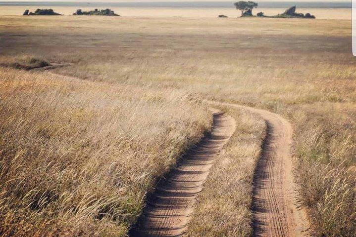3-dagars Serengeti Ngorongoro Crater Private Safari från Arusha