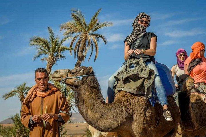 Passeio de camelo em Marrakech 2 horas