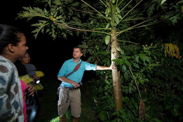 Rainforest Night Walking Tour (privat ejendom)