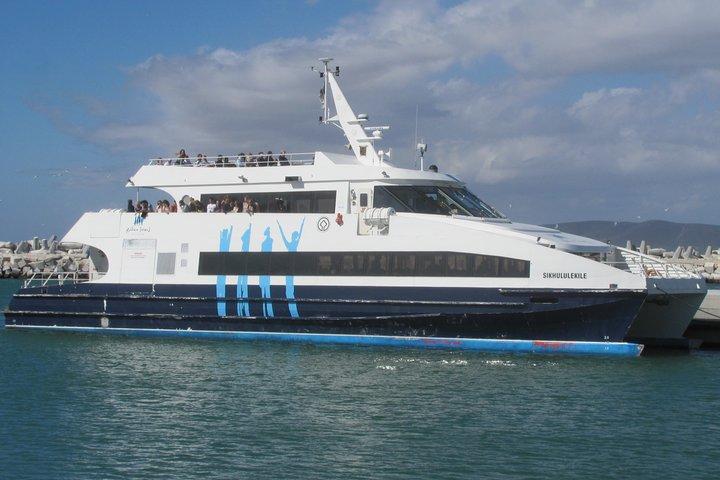 Excursión privada a Ciudad del Cabo - Isla Robben y Península del Cabo