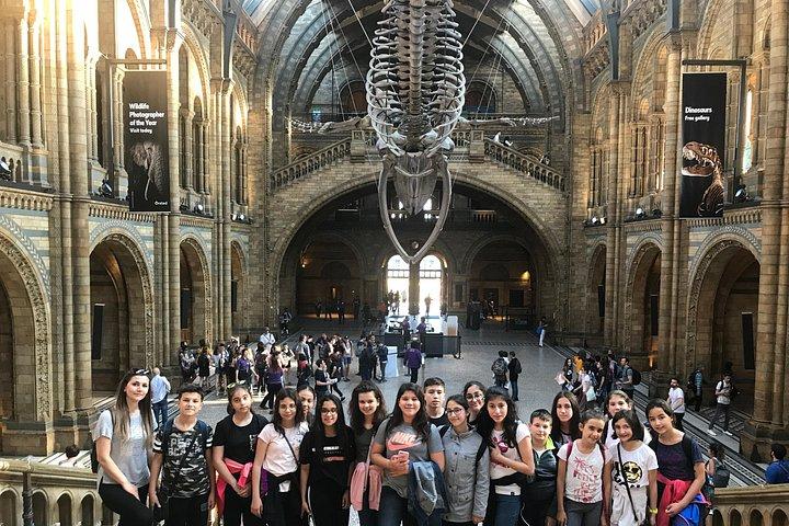ロンドンでの英語文化、科学、スポーツ、1週間の英語コース