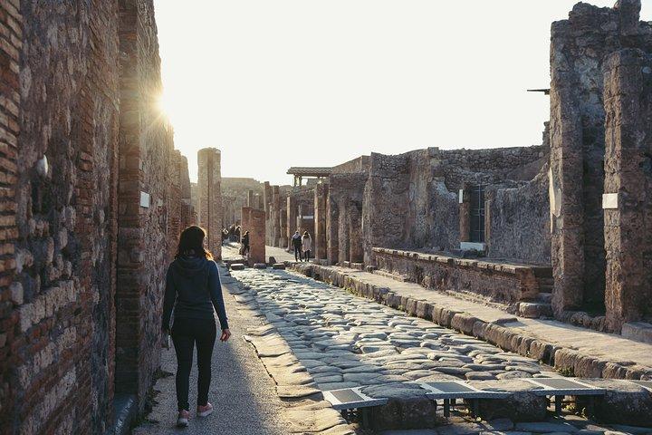 Entrada sin colas a Pompeya y museo virtual