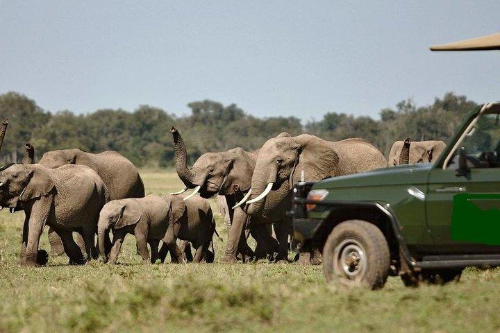 4x4 ランドクルーザー ジープで行く 8 日間のケニア野生動物サファリのベスト