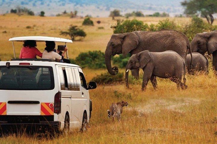 4x4 ランドクルーザー ジープで行く 8 日間のケニア野生動物サファリのベスト