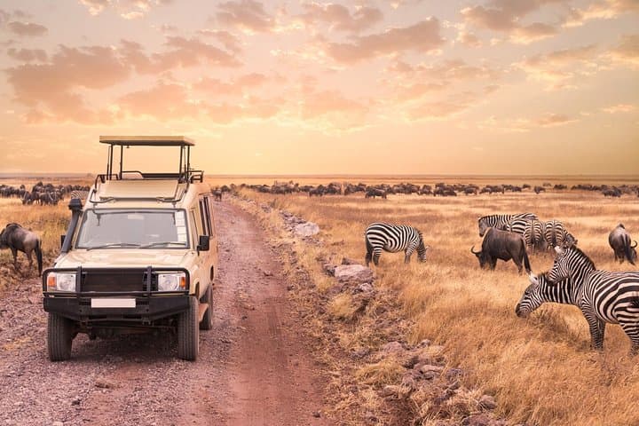 3-Day Masai Mara Luxury Safari on 4x4 Land Cruiser
