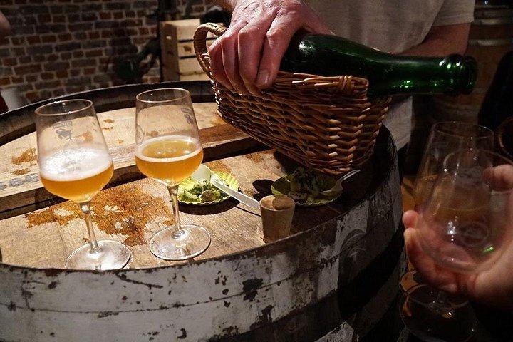 Half-Day Private Walking Tour in Brussels Old City