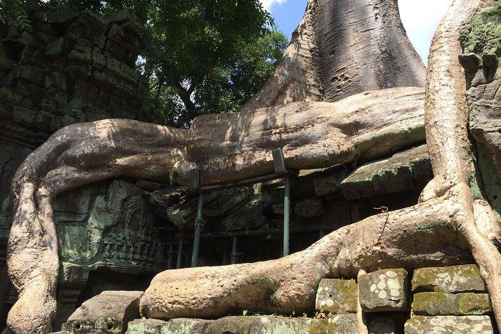 ジャングル寺院へのプライベート半日-タプローム寺院とバンテアイクデイ寺院