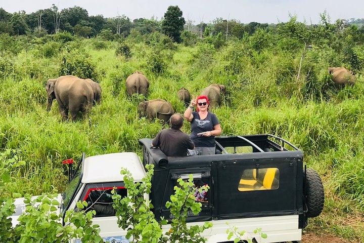 Hurulu Eco Park Halbtagessafari