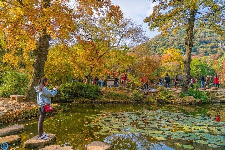 天平山とムドゥウォータータウンへのプライベート日帰りツアー