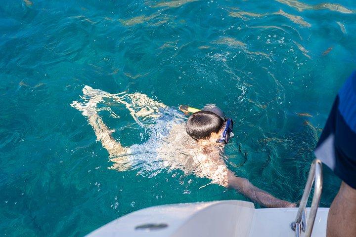 サントリーニ カルデラ ゴールド デイ クルーズ、船上でのバーベキューとオープン バー付き