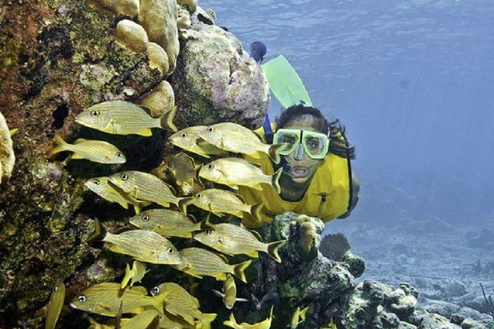 Maya Adventure de Cancun