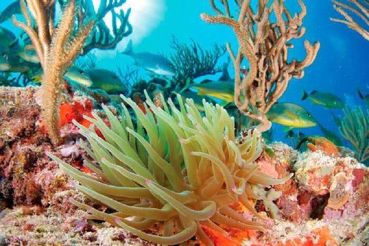 Maya Adventure de Cancun