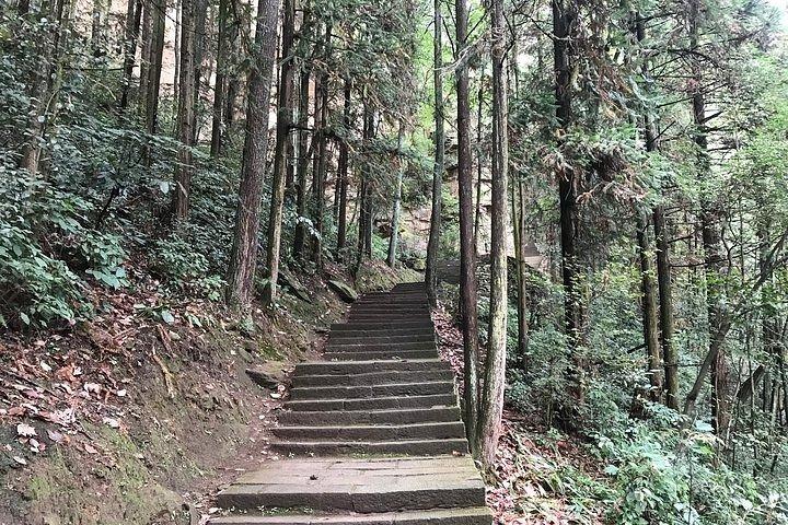 5 Tage Zhangjiajie Forest Park & Eagle Nest Village Wandertour (5-Sterne-Hotel)