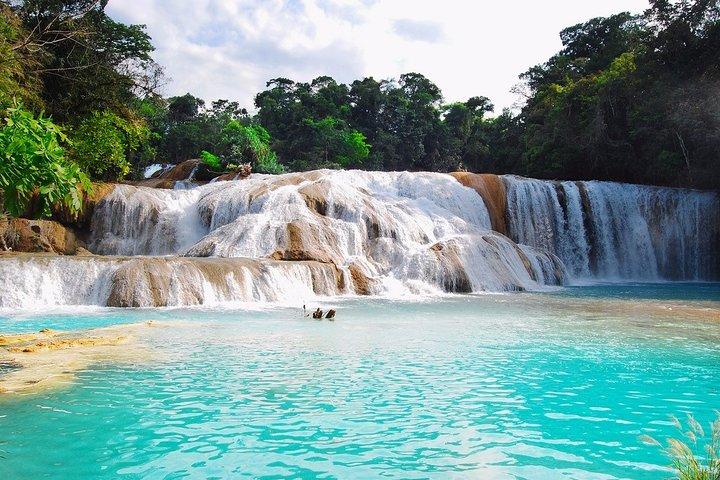 Desde Palenque Zona Arq. Misol Ha, Agua Azul y Traslado a San Cristóbal