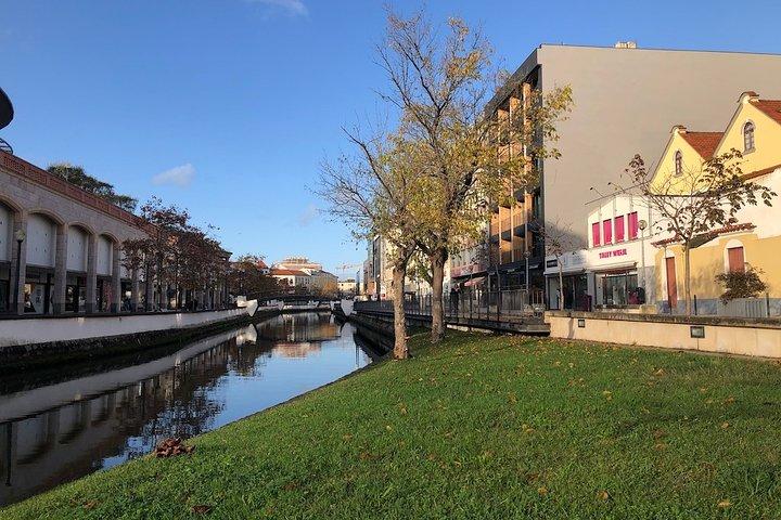 Aveiro Alugue uma Bicicleta - 4 horas