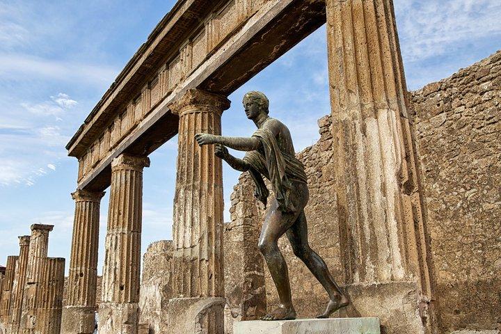 Tour guidato privato di un'intera giornata a Pompei da Roma con pranzo