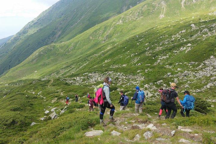 PRIVATE, EINFACHE Tageswanderung in den Karpaten