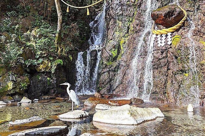 プライベート箱根ツアー-山の眺め富士、自然と文化