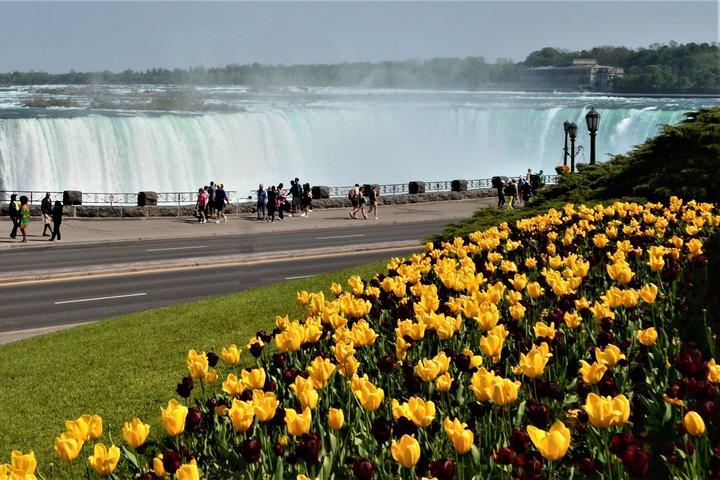 Tagesausflug von Toronto nach Niagara Falls mit Skip-the-Line-Boot