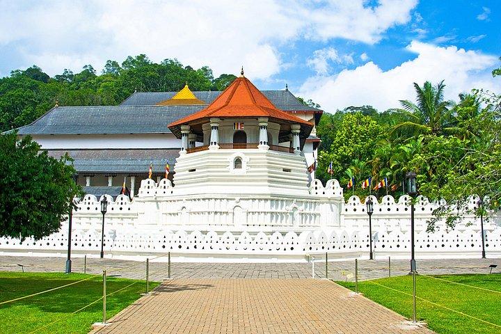 Kandy and Spice Garden Private Full-Day Tour from Colombo