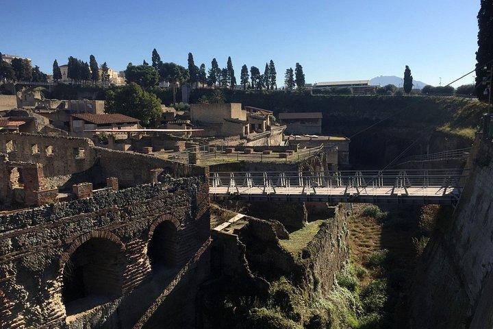 Herculaneum Private Walking Guided Tour 2 hours