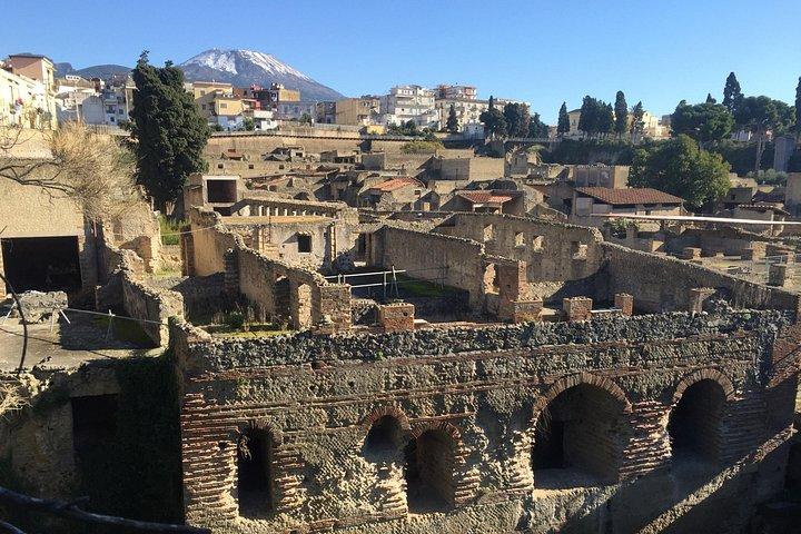 Herculaneum Private Walking Guided Tour 2 hours