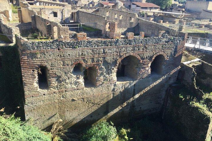Herculaneum Private Walking Guided Tour 2 hours
