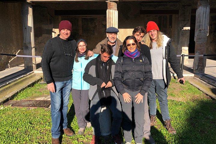 Herculaneum Private Walking Guided Tour 2 hours