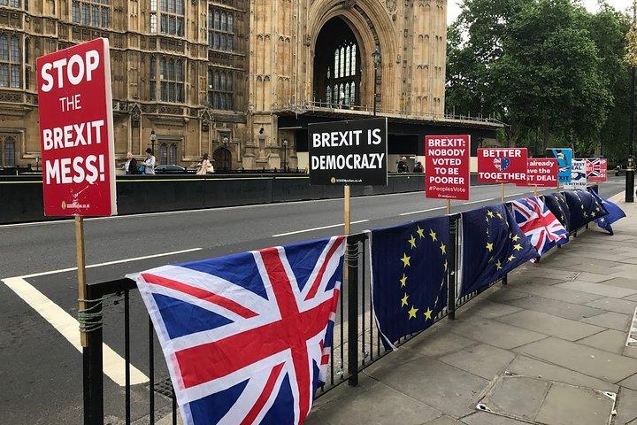 ロンドンでの民間国際関係と政治の1週間プログラム