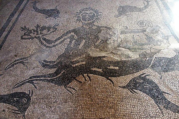 Herculaneum Private Walking Guided Tour 2 hours