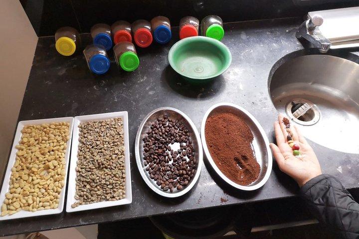 Hands-On Tour to Coffee Plantation from Bogota Option basic