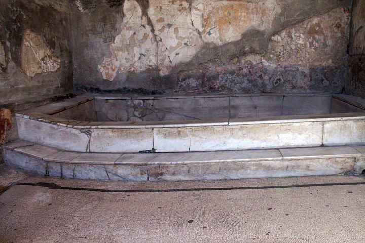Herculaneum Private Walking Guided Tour 2 hours