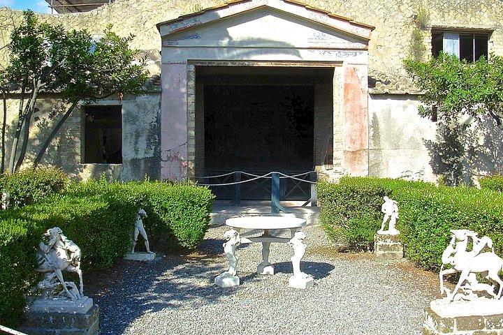 Herculaneum Private Walking Guided Tour 2 hours