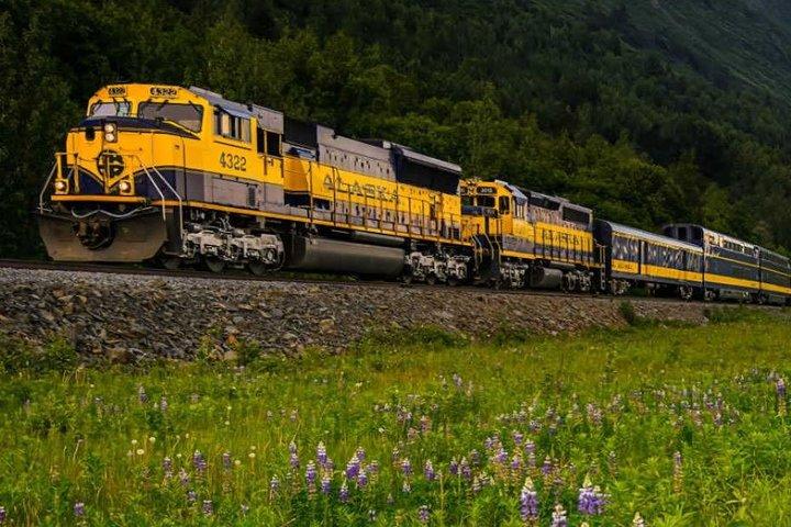 Alaska Railroad Anchorage a Denali One Way