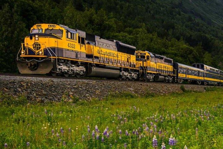 Anchorage ferroviaire d'Alaska à Seward One Way