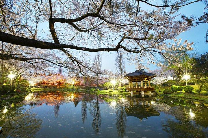 Gyeongju Hidden Gems Private Tour With Local Guide