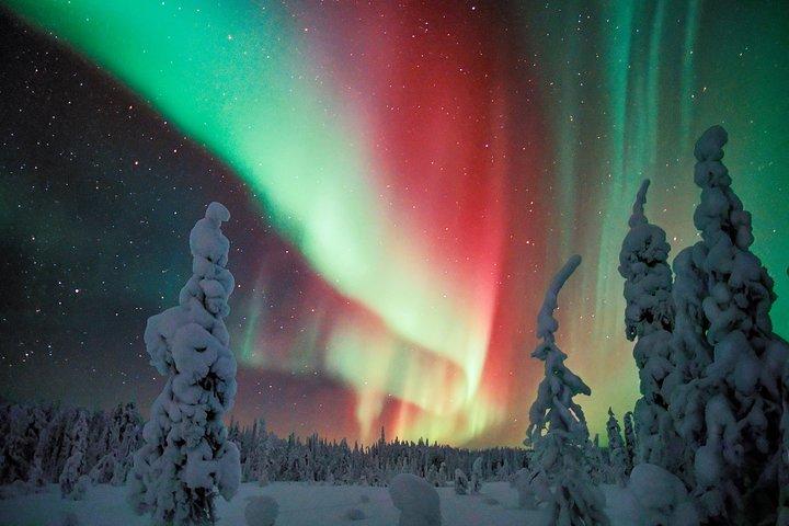 Auroras - Nordlichter - Rovaniemi