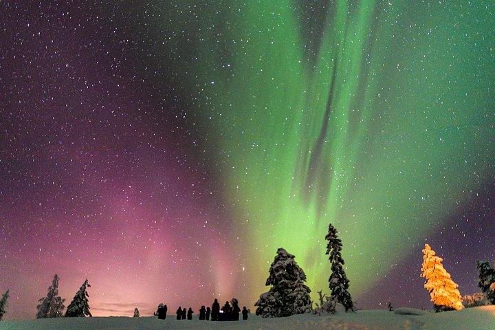 Privétour Aurora (1 - 4) - Saariselkä