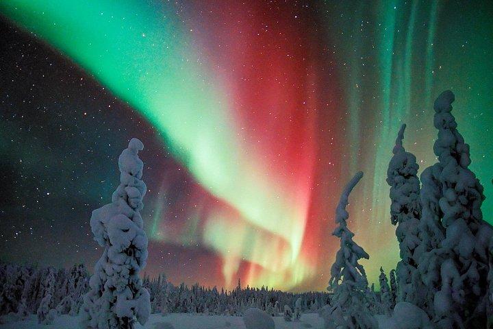 Privétour Aurora (1 - 4) - Saariselkä